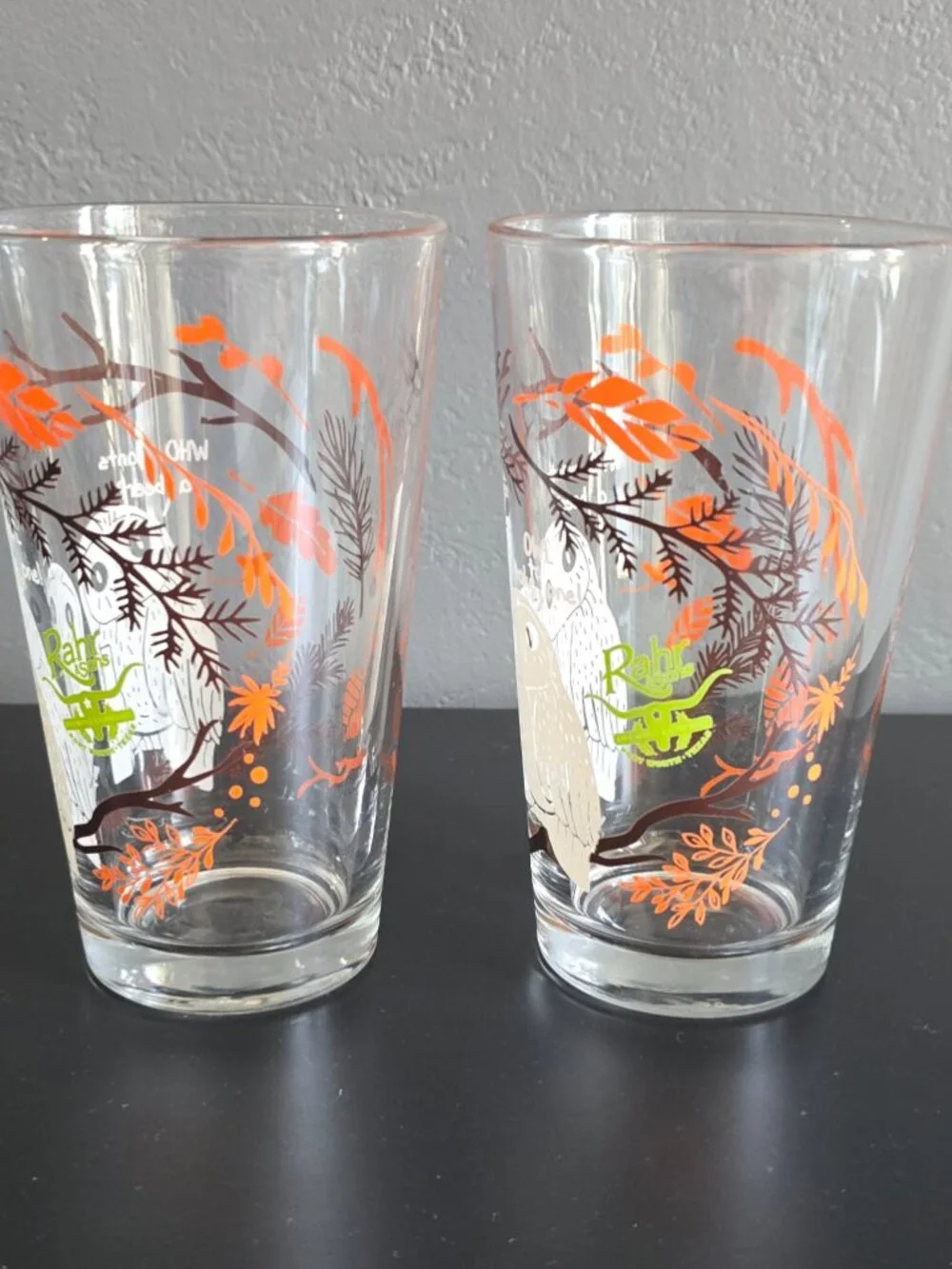 Rahr & Sons Brewing Fort Worth TX Owl Pint Glasses Set of 2 Craft Beer